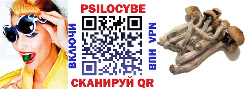 Галлюциногенные грибы мицелий  Мензелинск 